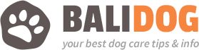 xellops.com